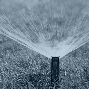 Xeriscaping Irrigation