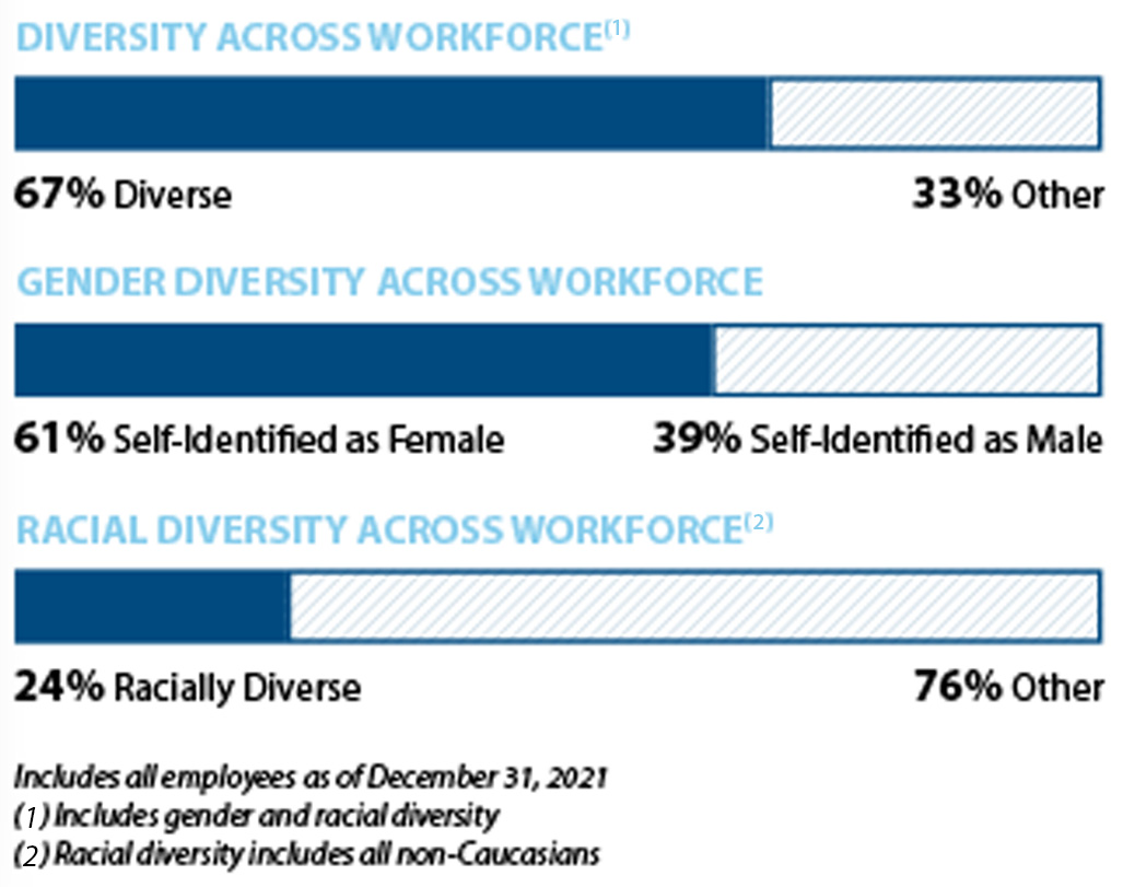 Ivt Diversity Chart 2021 2